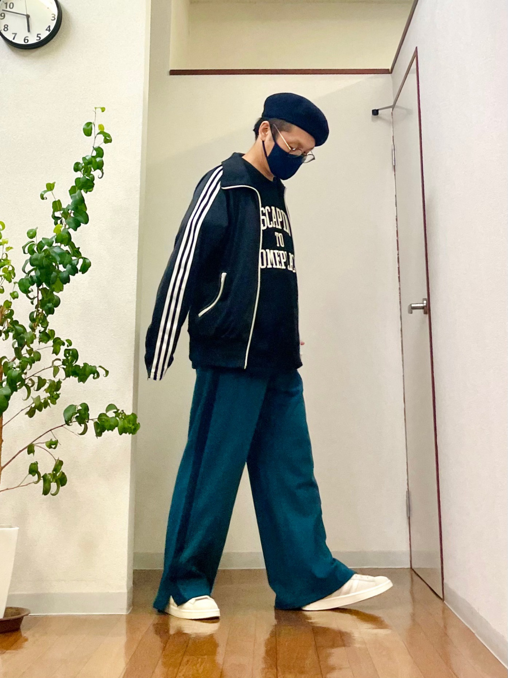 プレート　5柄　セット 楽天市場】【60％OFFクーポン対象】【入荷済み】フロッキードット