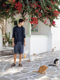 Livre de photos des différentes tenues Uniqlo. Style ID : <30015867>