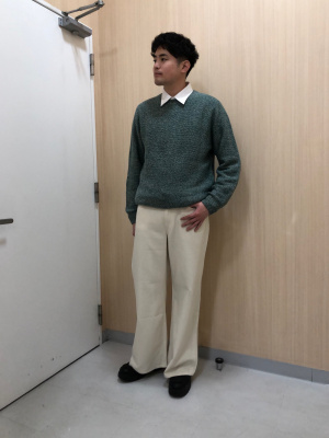 ユニクロ公式 | ファインクロスシャツ/レギュラー襟