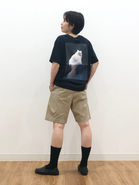 画像なし